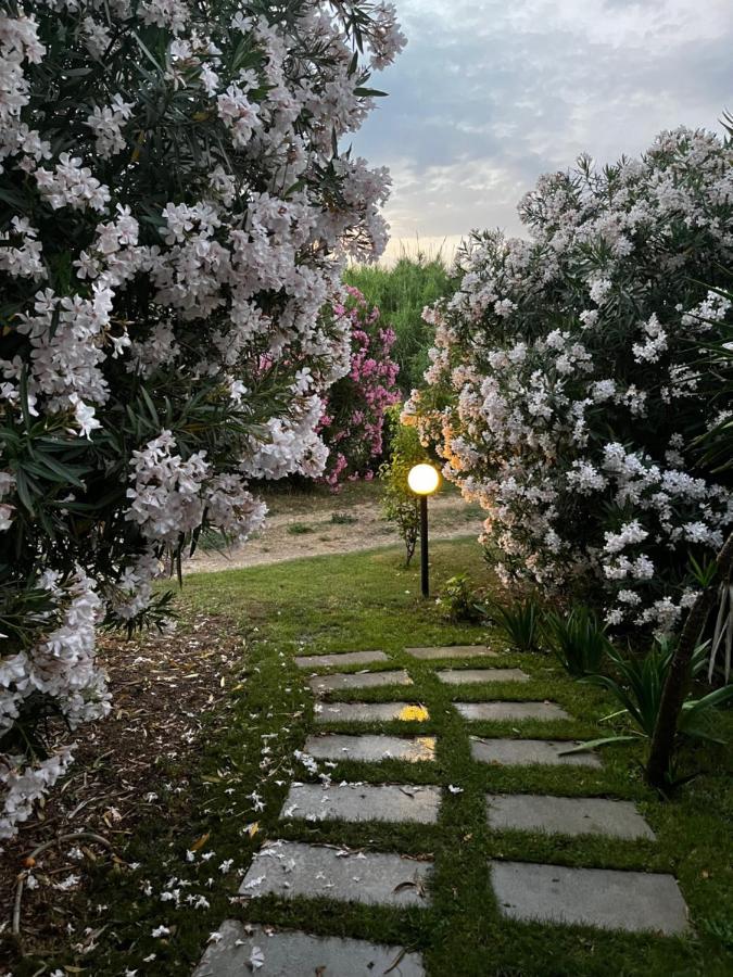 Hotel Frassetto سانتا تيريزا غالّورا المظهر الخارجي الصورة